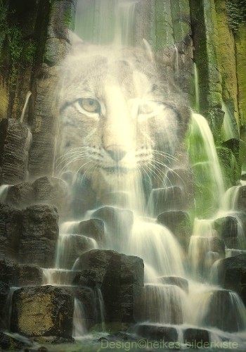 Luxkopf im Wasserfall